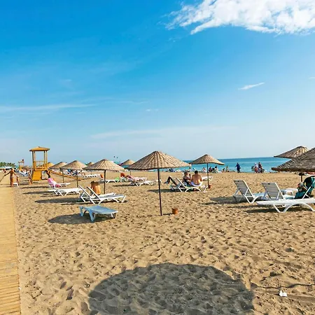 Villa Paradise Town Premium