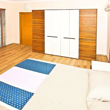 Paradise Town Premium