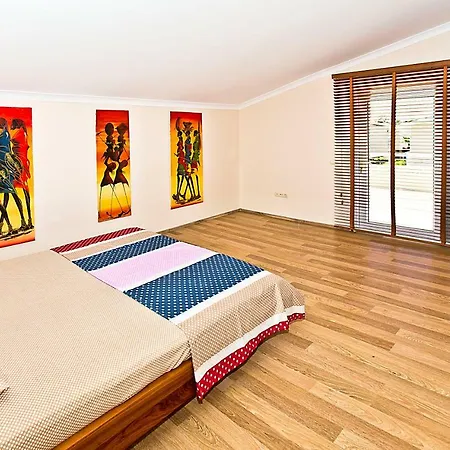 Paradise Town Premium *