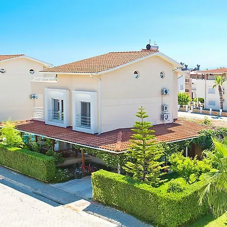 Paradise Town Premium *