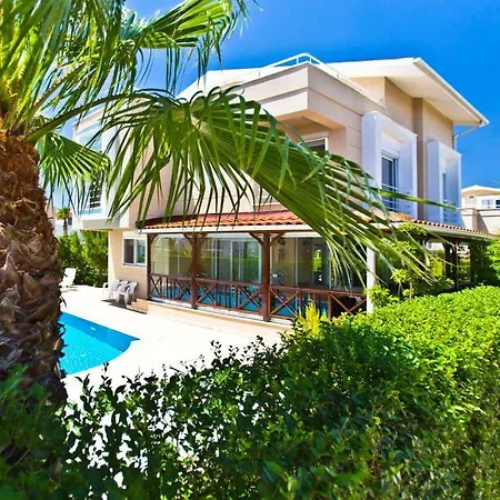 Paradise Town Premium *