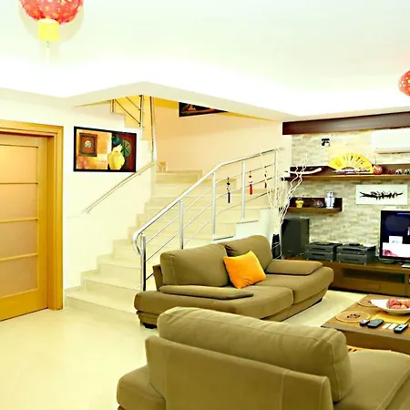 Paradise Town Premium