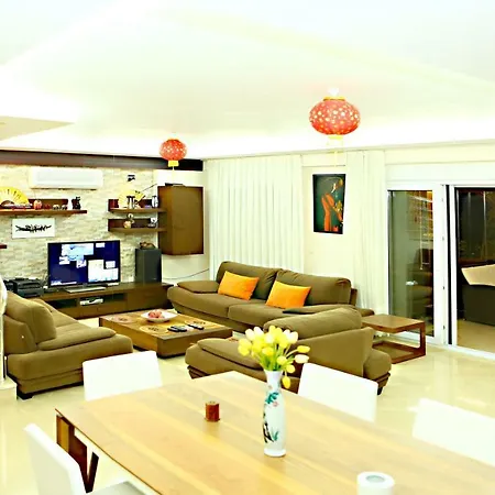 Paradise Town Premium