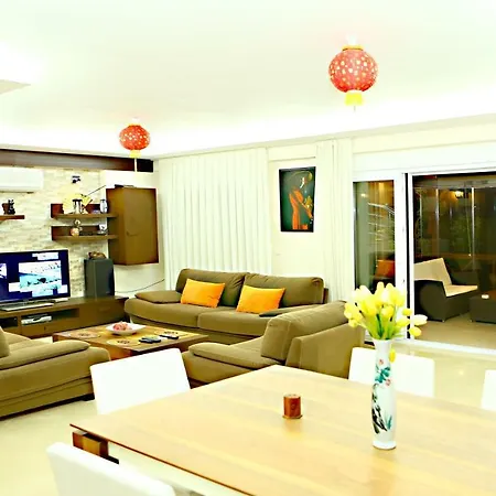 Paradise Town Premium