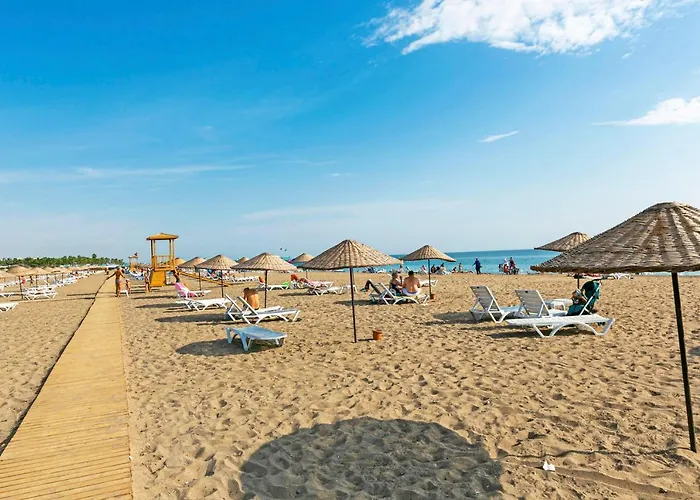 Villa Paradise Town Premium