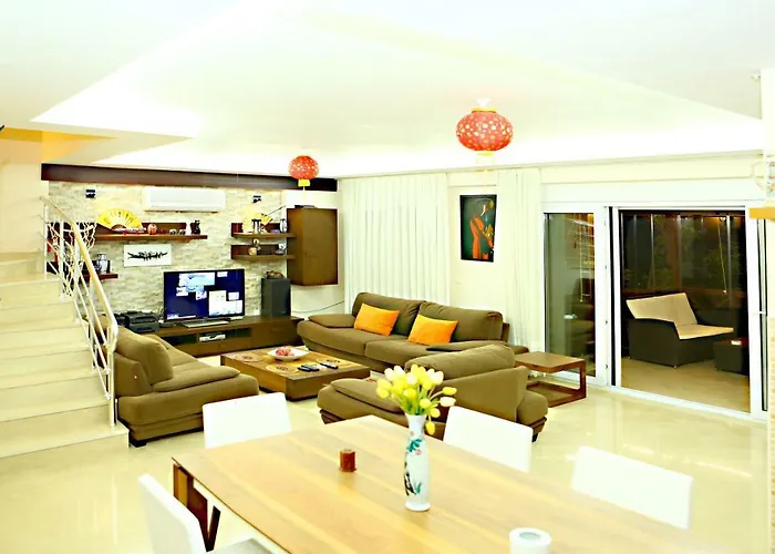 Paradise Town Premium
