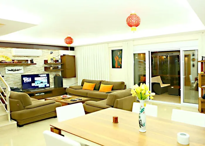 Paradise Town Premium