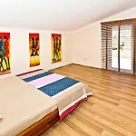 Paradise Town Premium *