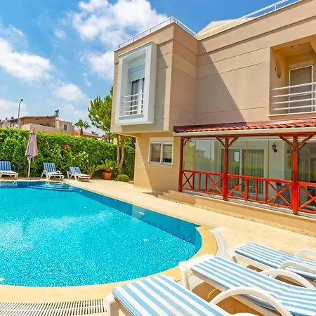 Paradise Town Premium *