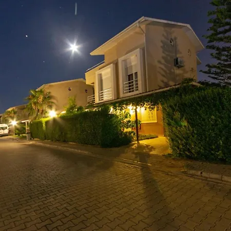 Paradise Town Premium