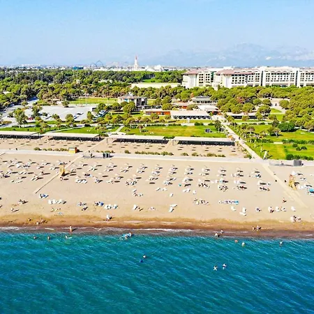 Paradise Town Premium