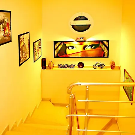 Paradise Town Premium