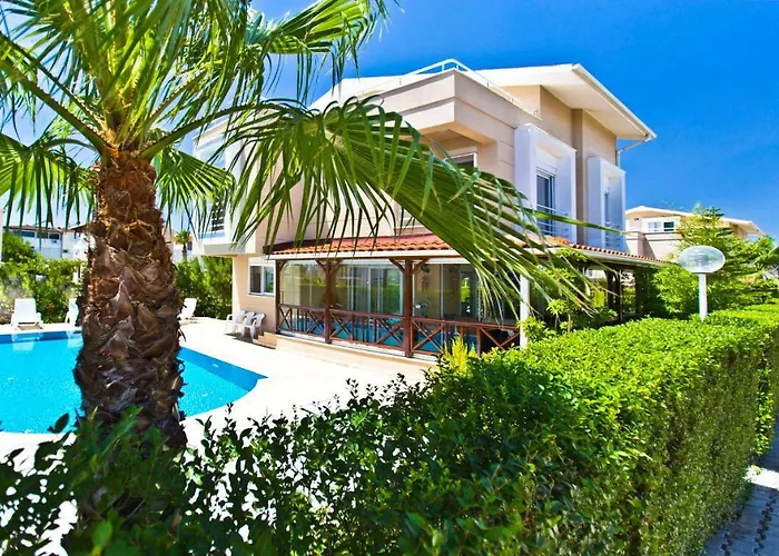 Paradise Town Premium *