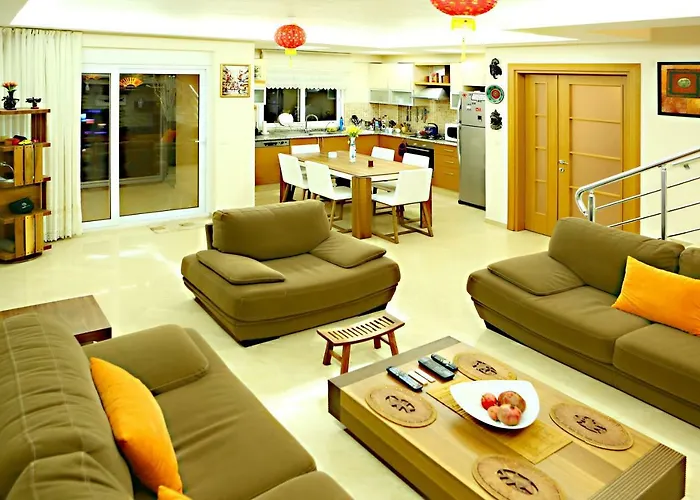 Paradise Town Premium באלאק